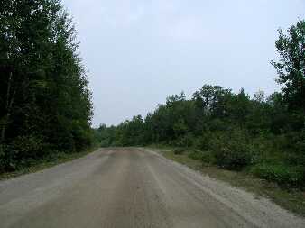 canjul2201.jpg (9639 bytes)