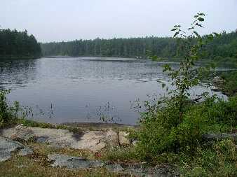 canjul2303.jpg (13997 bytes)