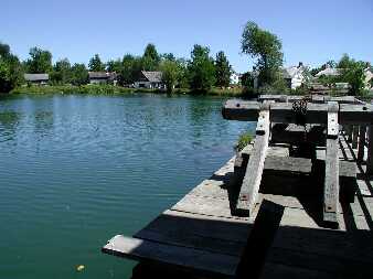 canjul2703.jpg (12913 bytes)